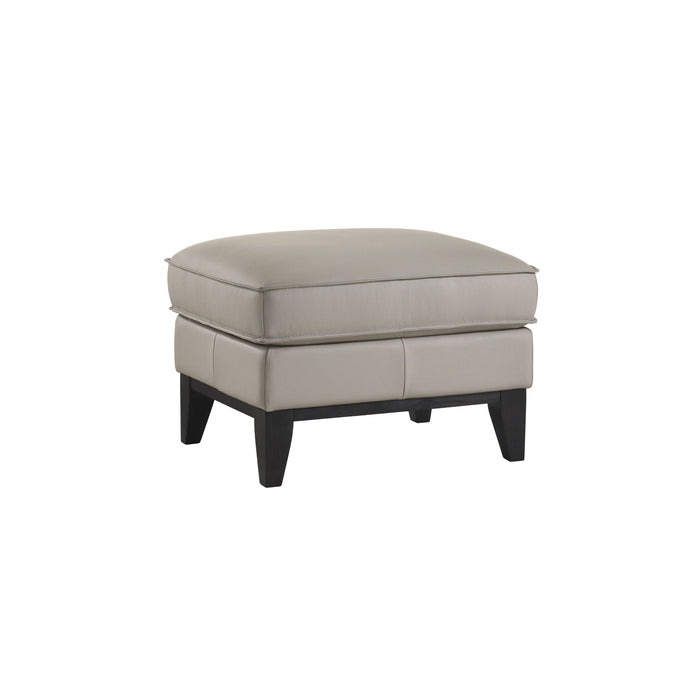 Aaron - Leather Ottoman - Mist Gray