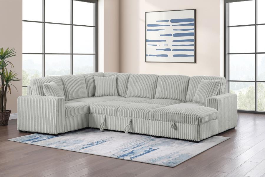Devonshire - Sleeper Sectional Sofa Storage Chaise