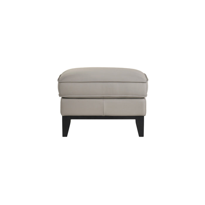 Aaron - Leather Ottoman - Mist Gray