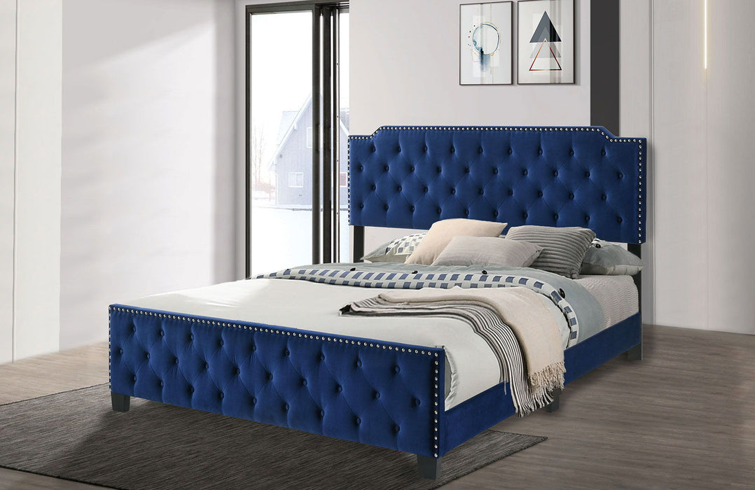 Charlize - Queen Bed - Navy